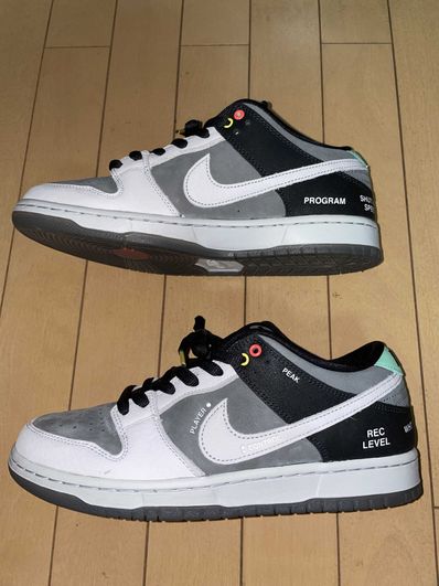 Nike SB Dunk Low Pro "VX1000 Camcorder"