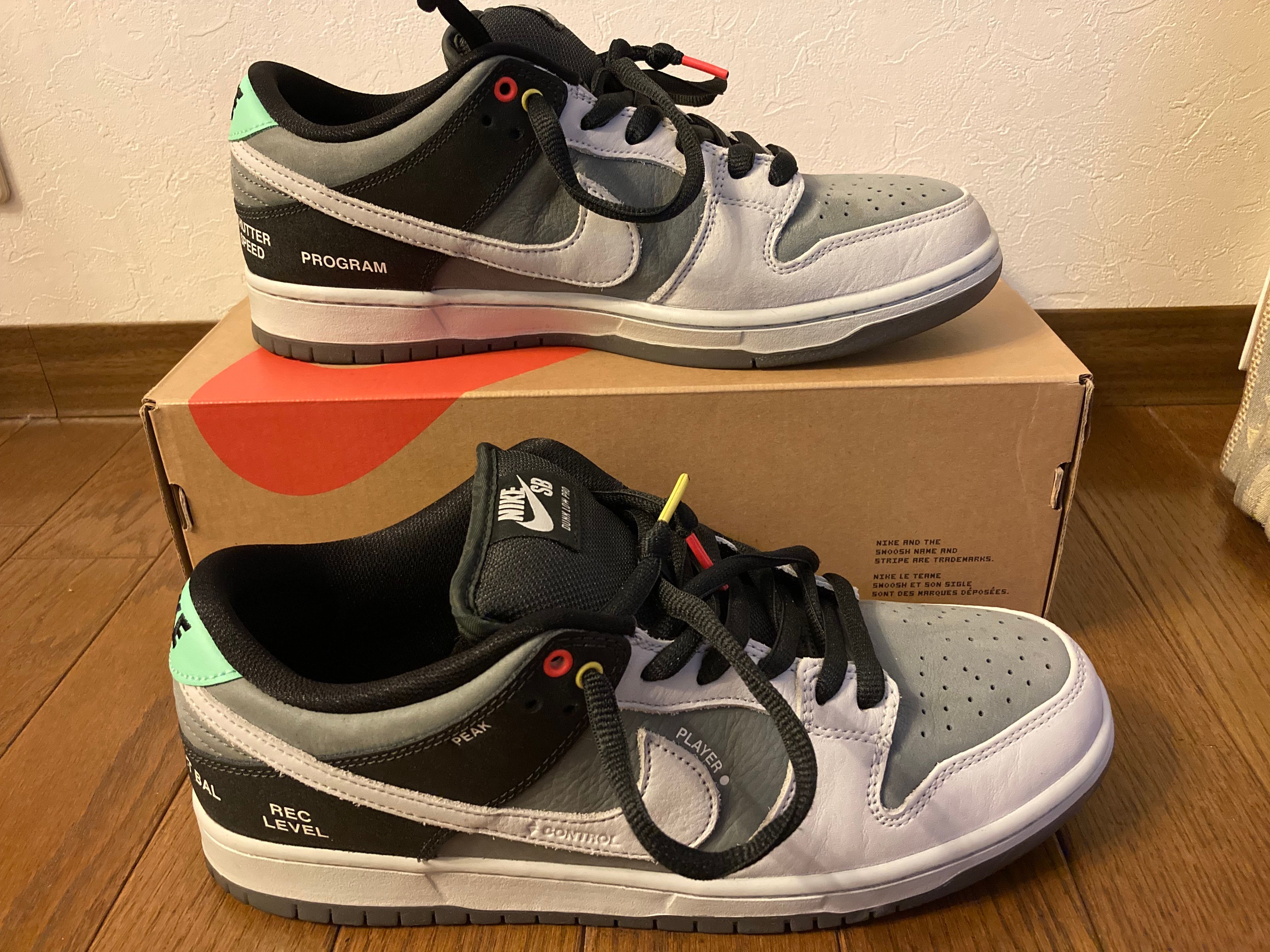 Nike SB Dunk Low Pro "VX1000 Camcorder"