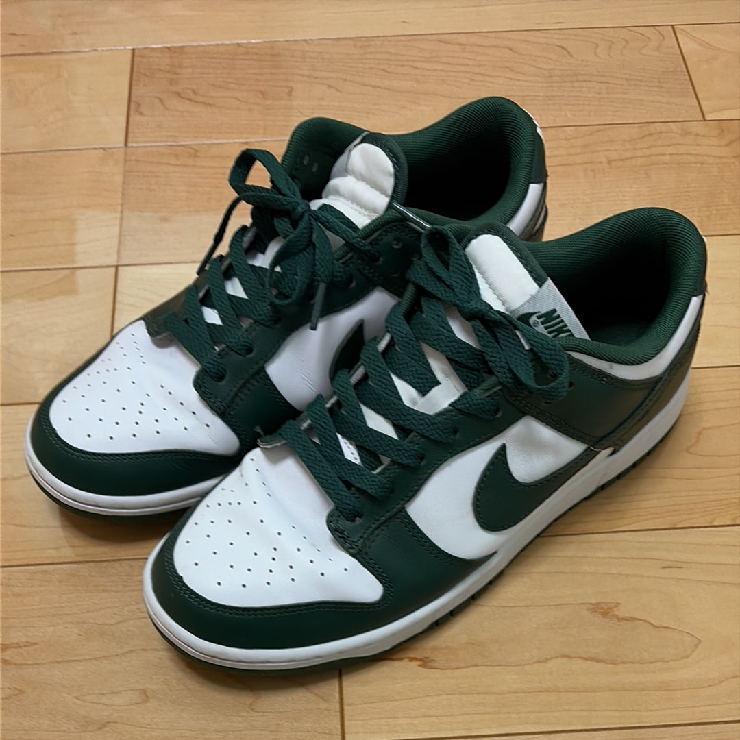 Nike Dunk Low Retro "Varsity Green/Team Green"