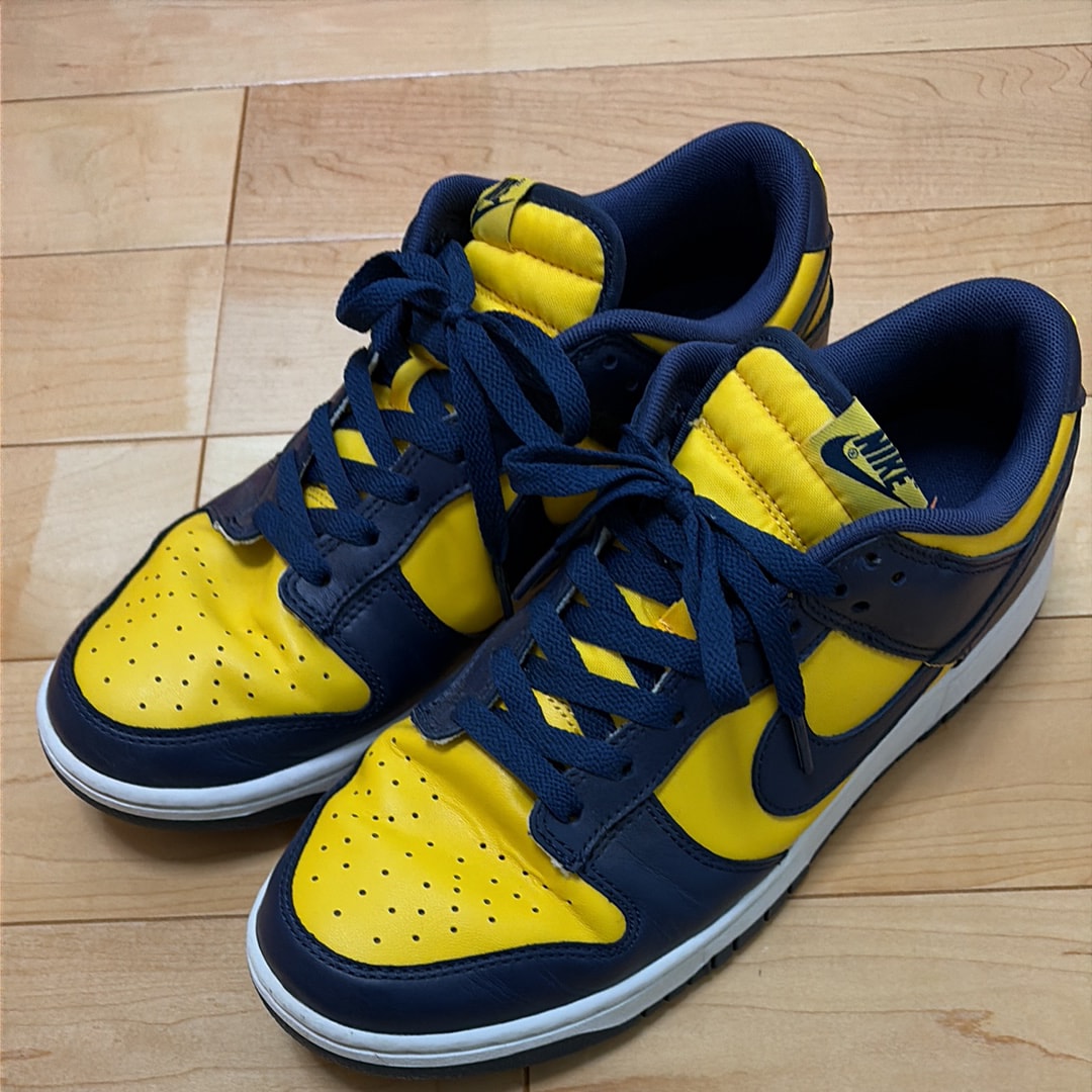 Nike Dunk Low "Michigan"