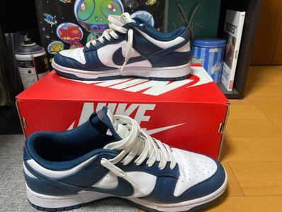 Nike Dunk Low "Valerian Blue"