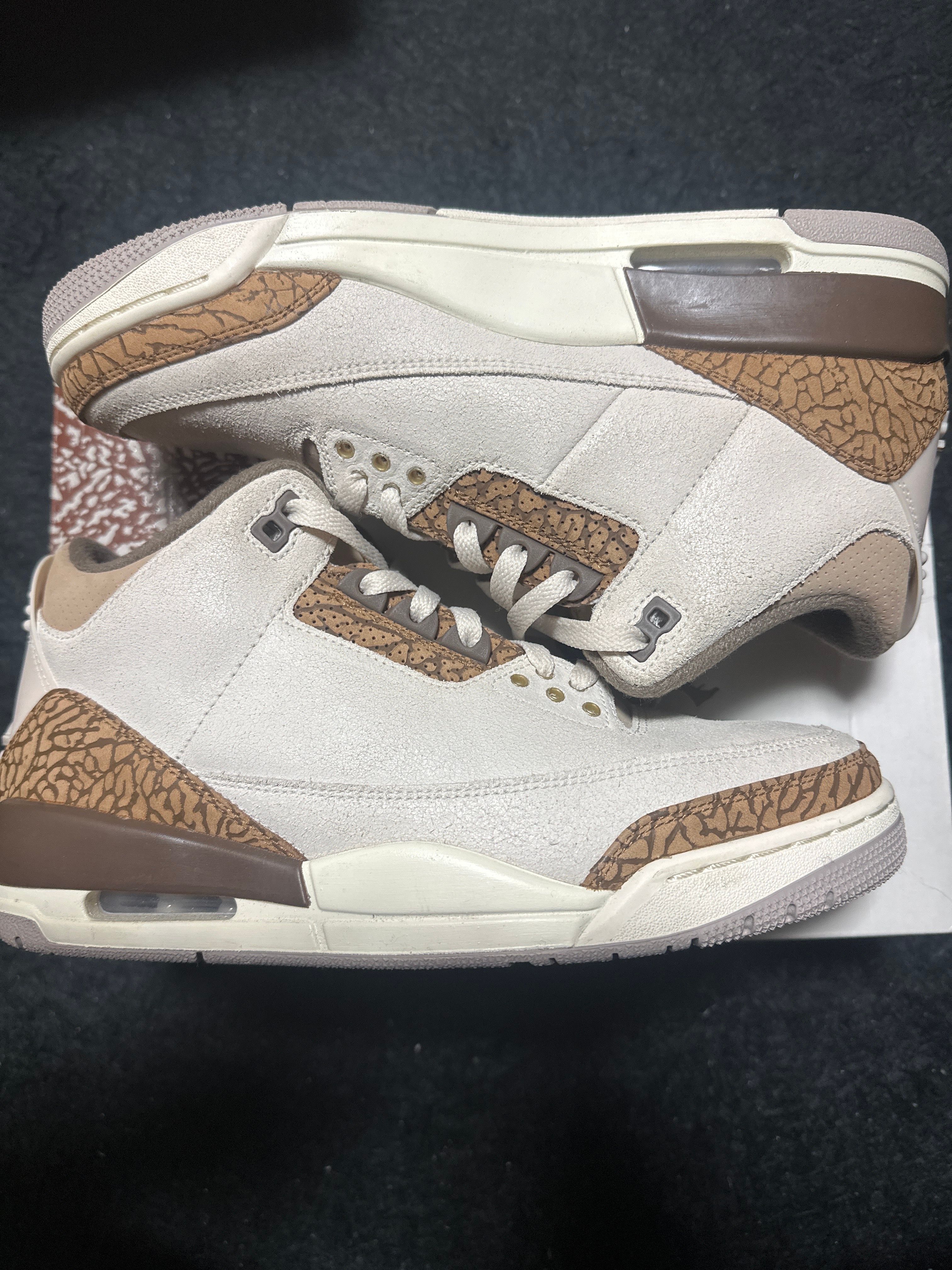 Nike Air Jordan 3 Retro "Orewood Brown"