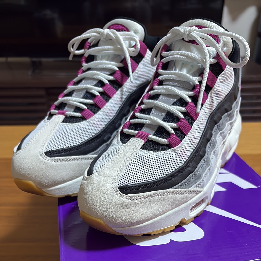 Nike SB Air Max 95 "Summit White/Cactus Flower"