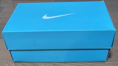 Tiffany & Co. × Nike Air Force 1 Low "1837"