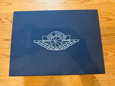 Dior × Nike Air Jordan 1 High OG "Wolf Grey"