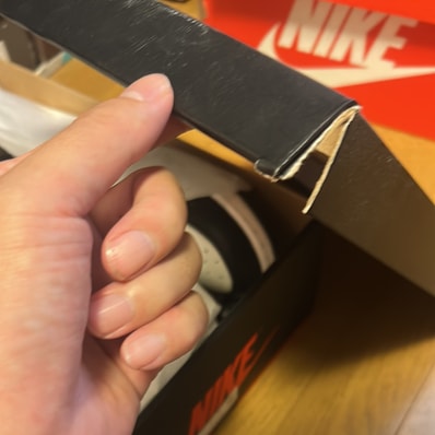 Nike Air Jordan 1 High OG "Sail/Dark Mocha/Black"