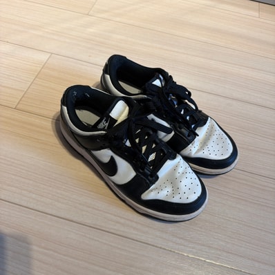 Nike Dunk Low Retro "Panda"