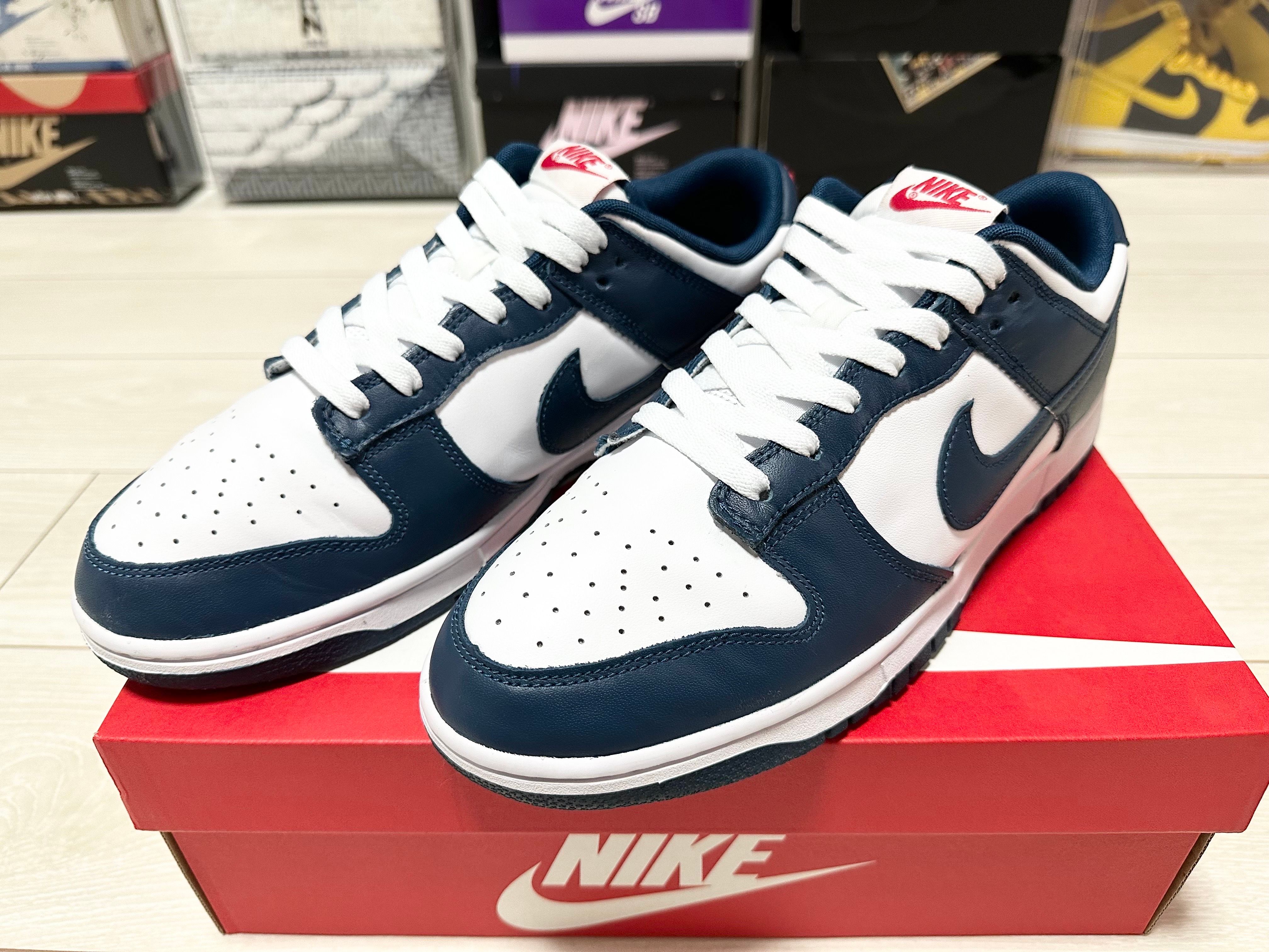 Nike Dunk Low "Valerian Blue"