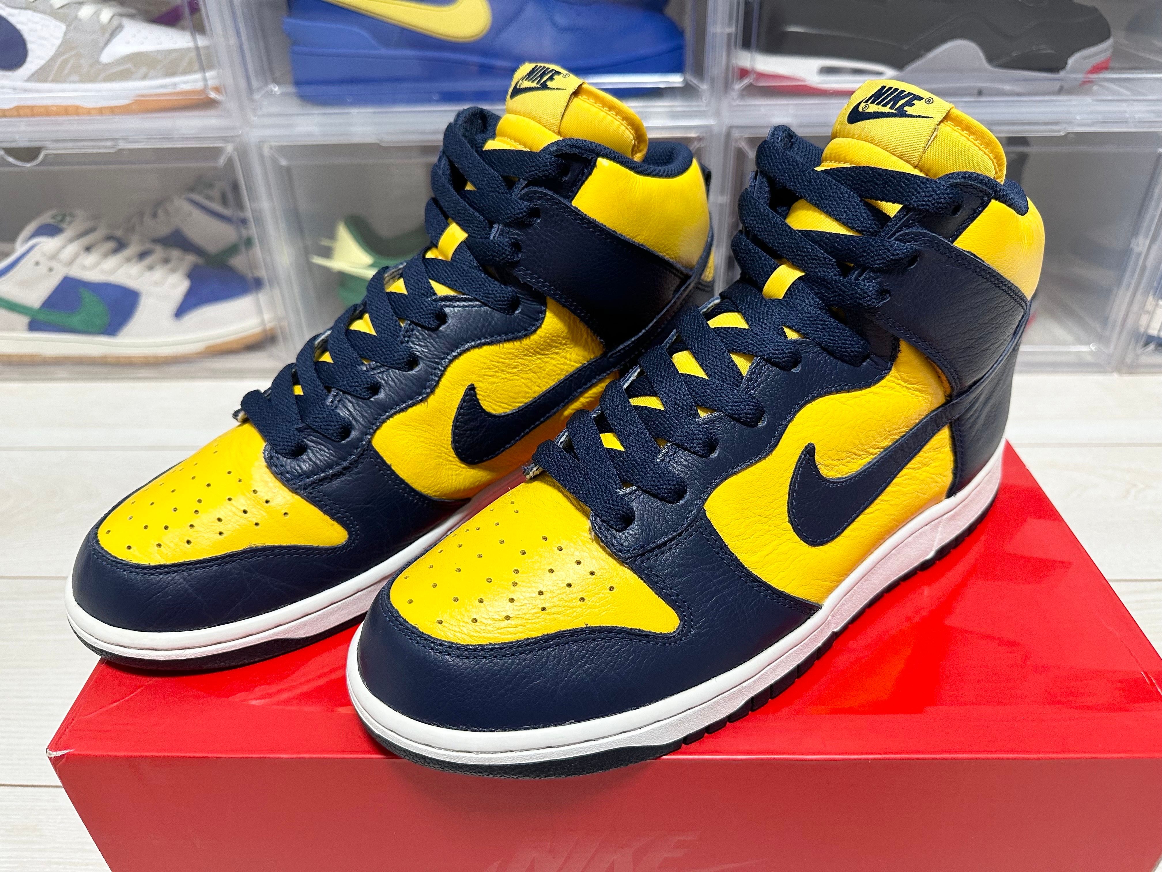 Nike Dunk High 