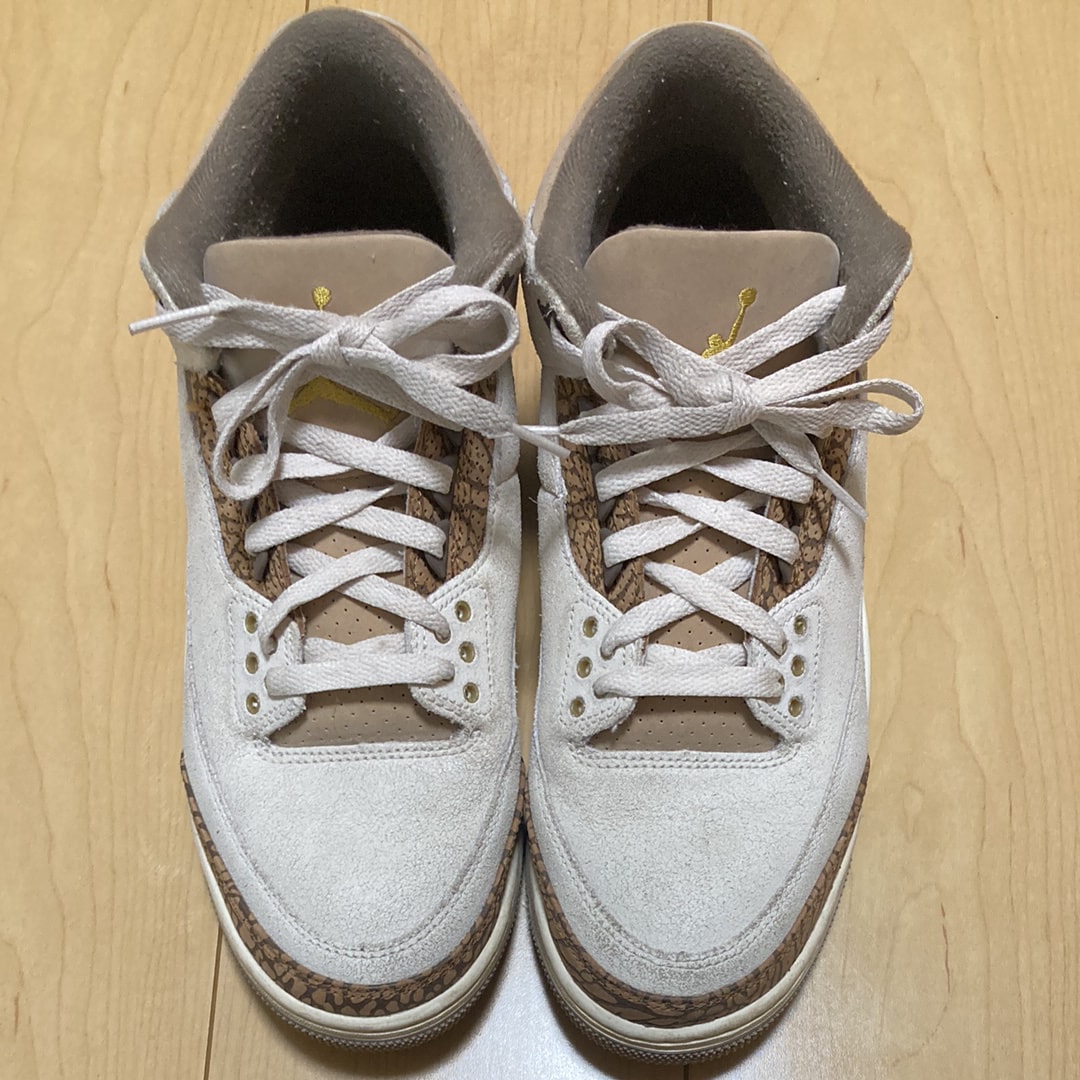 Nike Air Jordan 3 Retro "Orewood Brown"