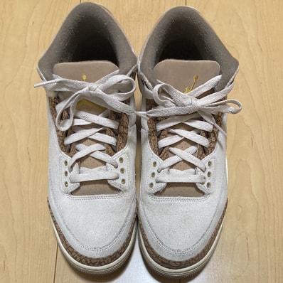 Nike Air Jordan 3 Retro "Orewood Brown"