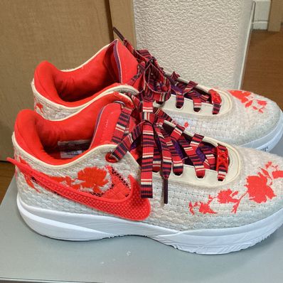 Mimi Plange × Nike LeBron 20 PRM "Guava Ice/Bordeaux/Bold Berry/Bright Crimson"