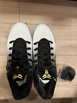 ナイキ コービー9 ロー プロトロ EM "マンバティカ"