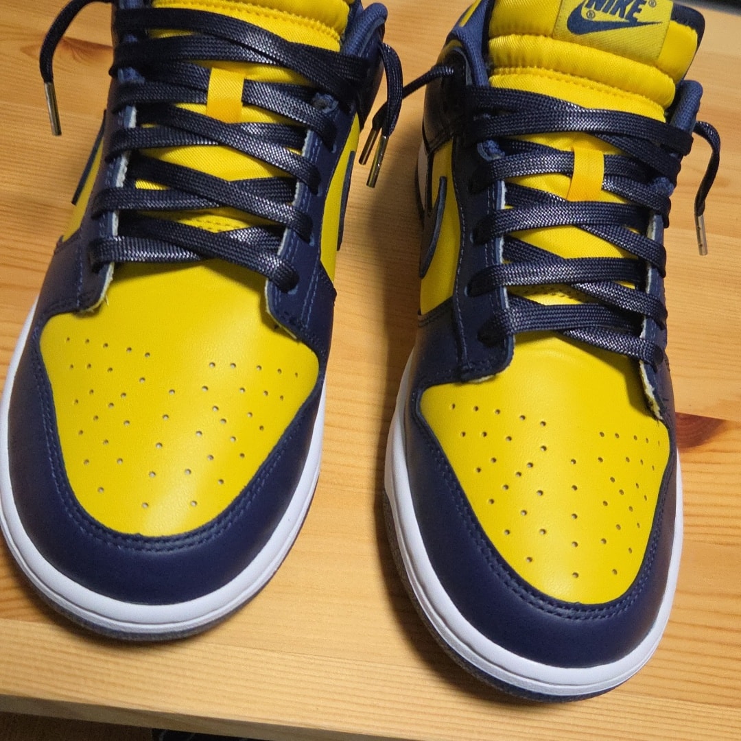 Nike Dunk Low "Michigan"