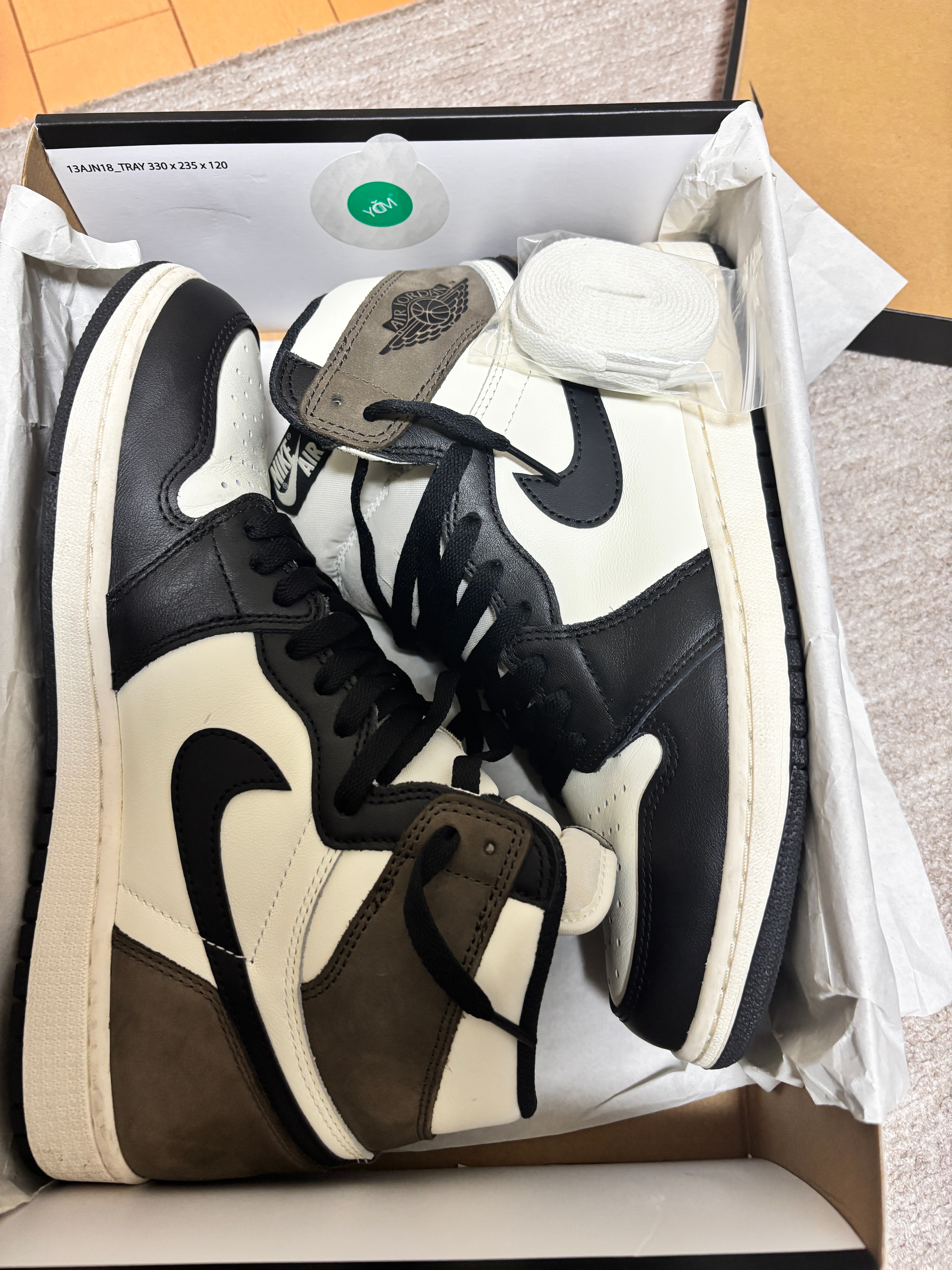 Nike Air Jordan 1 High OG "Sail/Dark Mocha/Black"