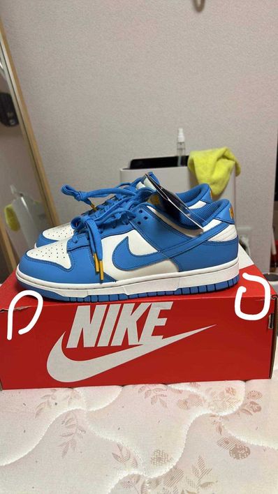 Nike Women's Dunk Low "Coast"