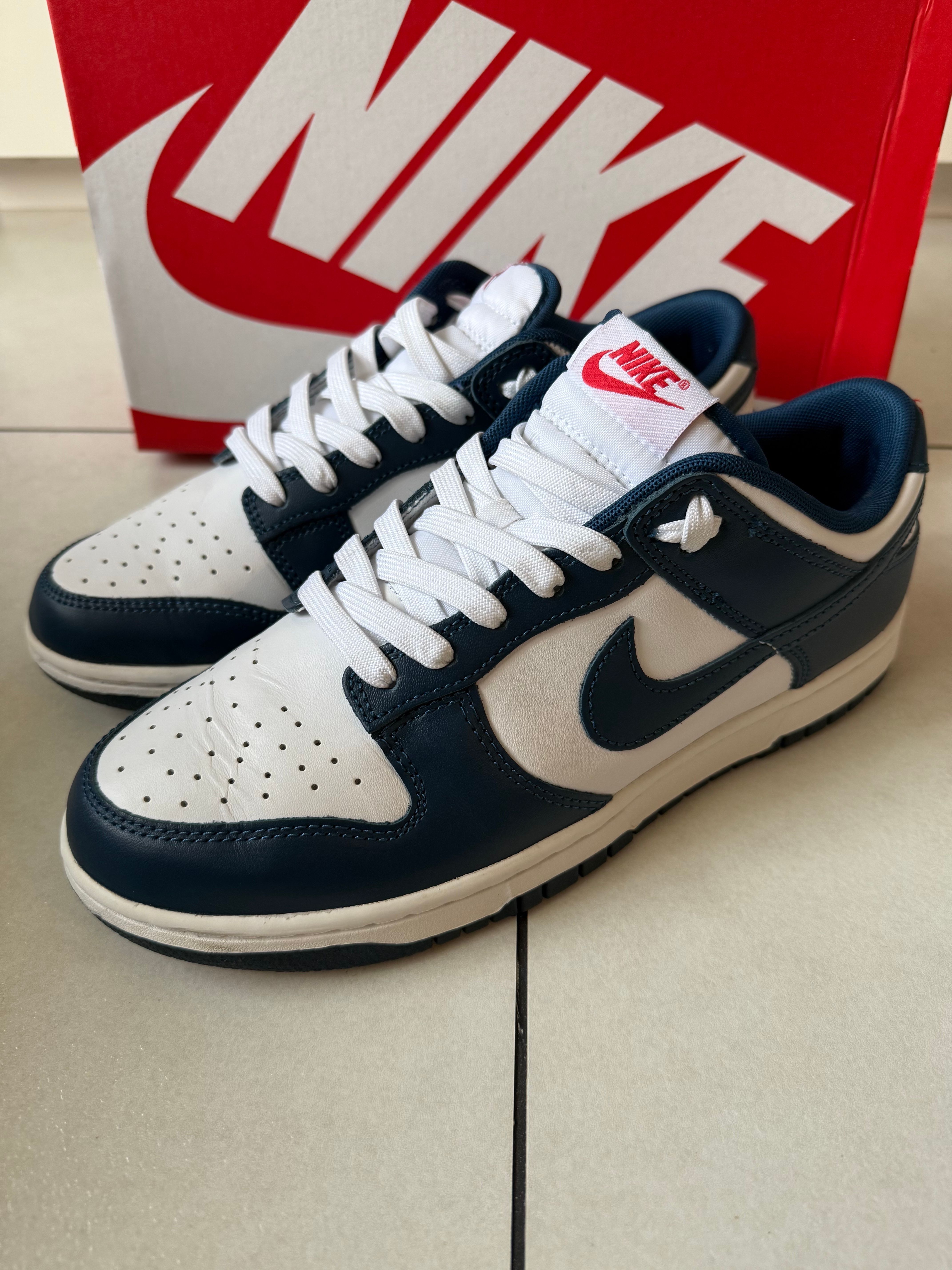 Nike Dunk Low "Valerian Blue"