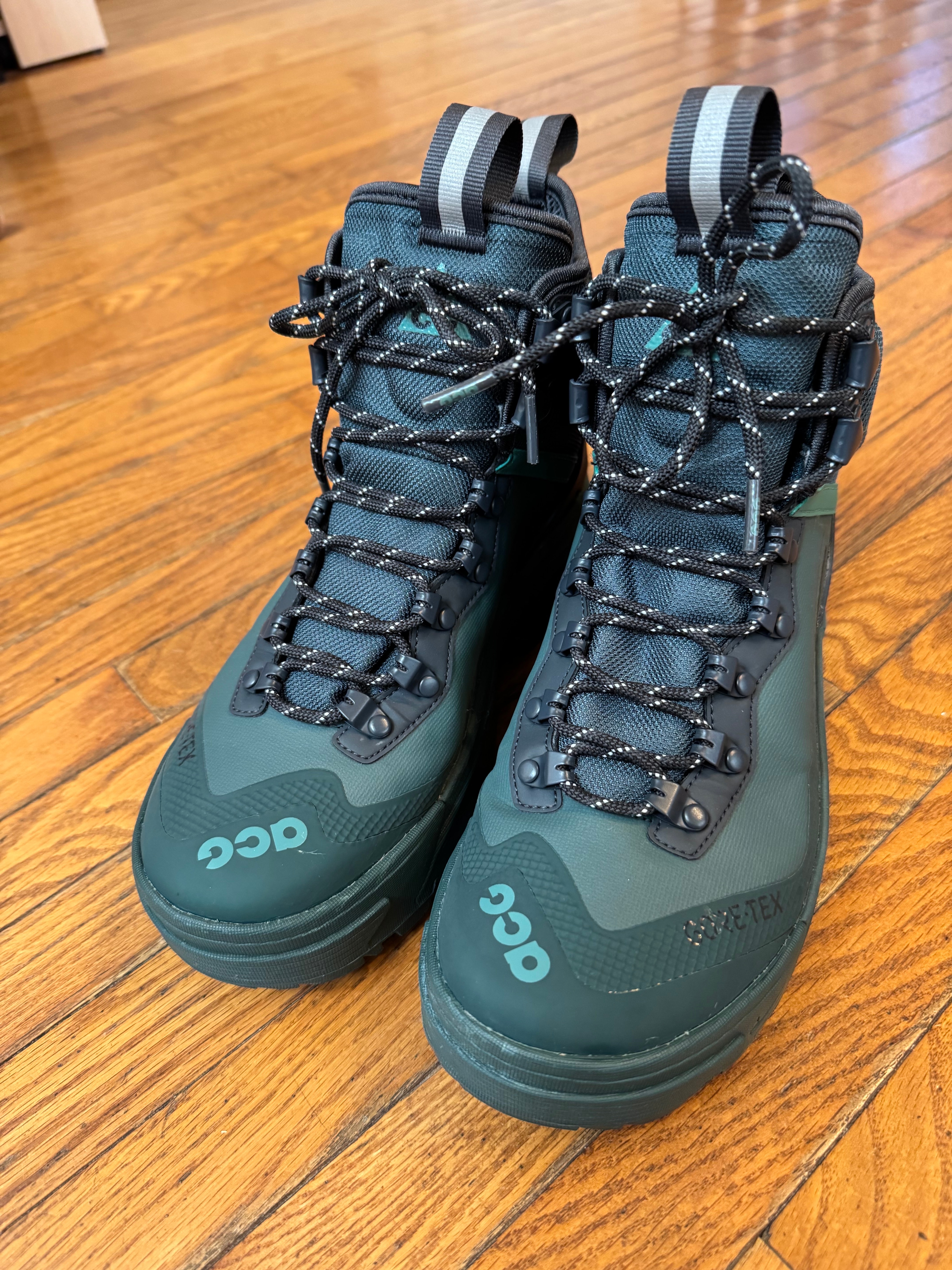 Nike ACG Air Zoom Gaiadome GORE-TEX "Vintage Green"