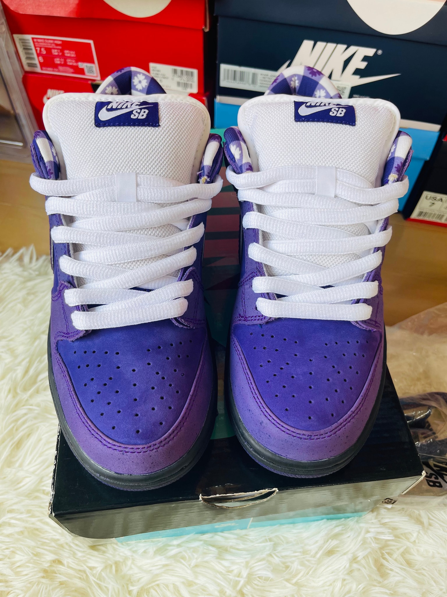 Concepts × Nike SB Dunk Low "Purple Lobster"