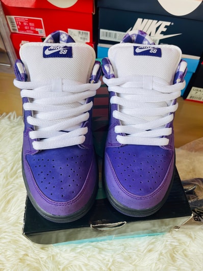 Concepts × Nike SB Dunk Low "Purple Lobster"