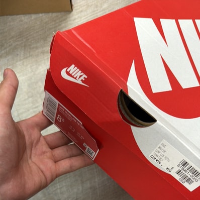 Nike Dunk Low Retro "Panda/White/Black"