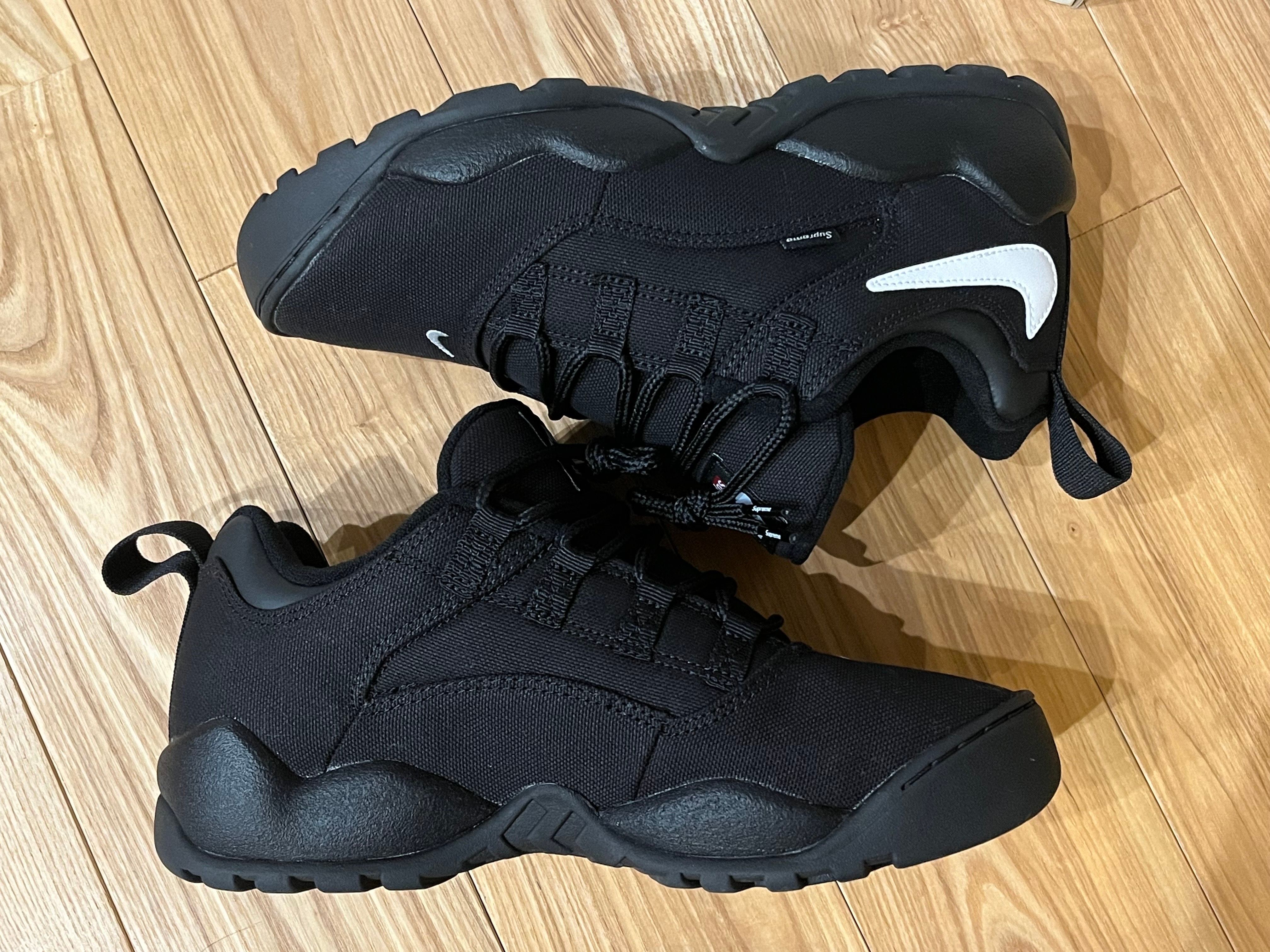 Supreme × Nike SB Darwin Low "Black"