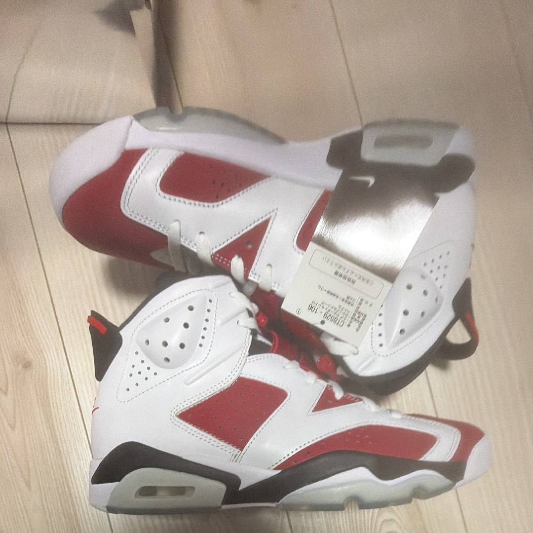 Nike Air Jordan 6 "Carmine" (2021)