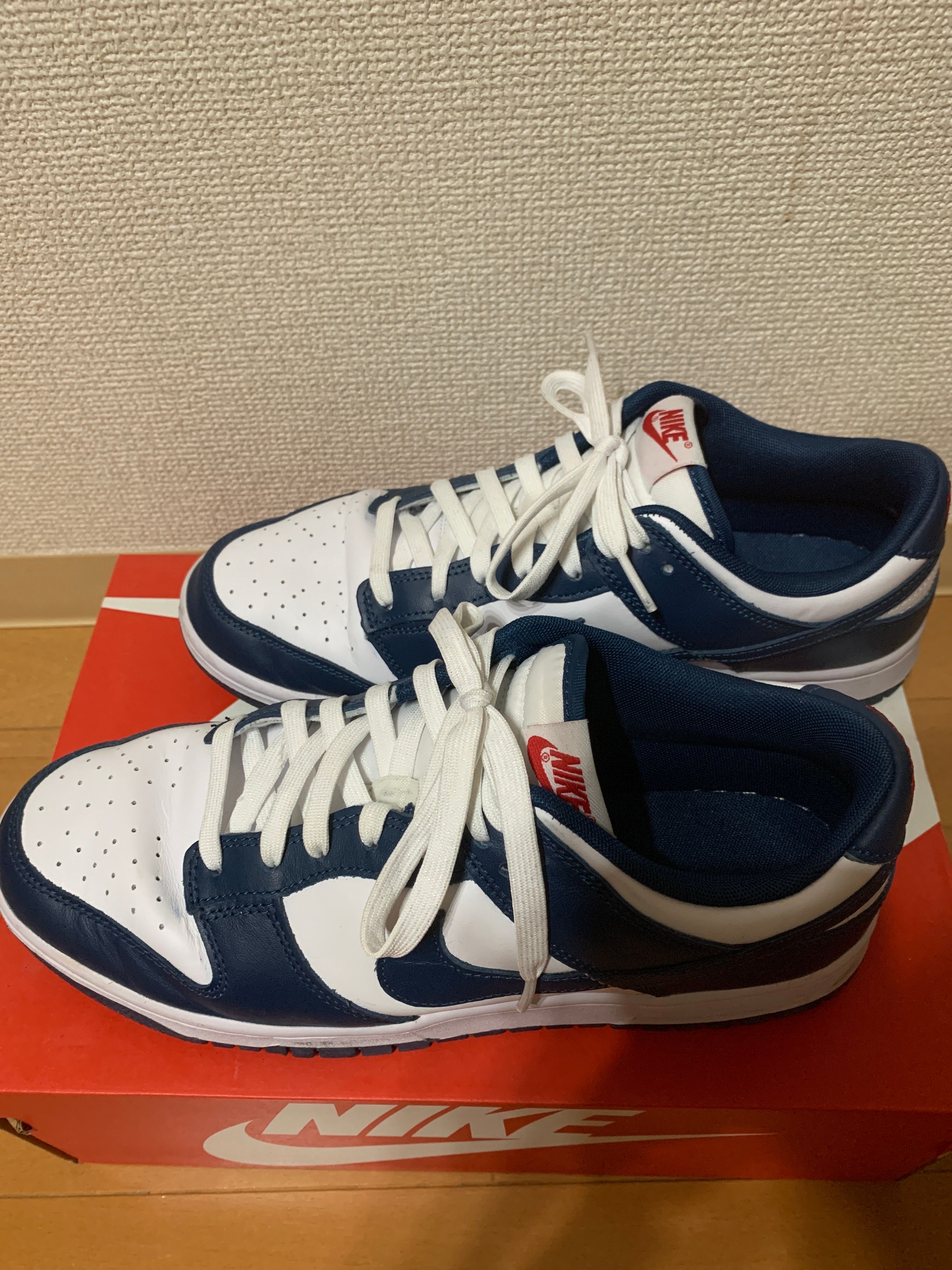 Nike Dunk Low "Valerian Blue"