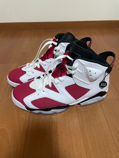 Nike Air Jordan 6 "Carmine" (2021)