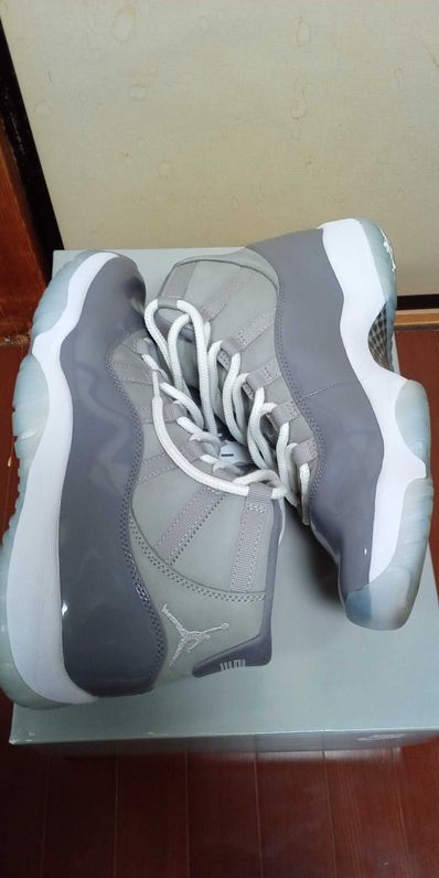 Nike Air Jordan 11 Retro "Cool Grey"