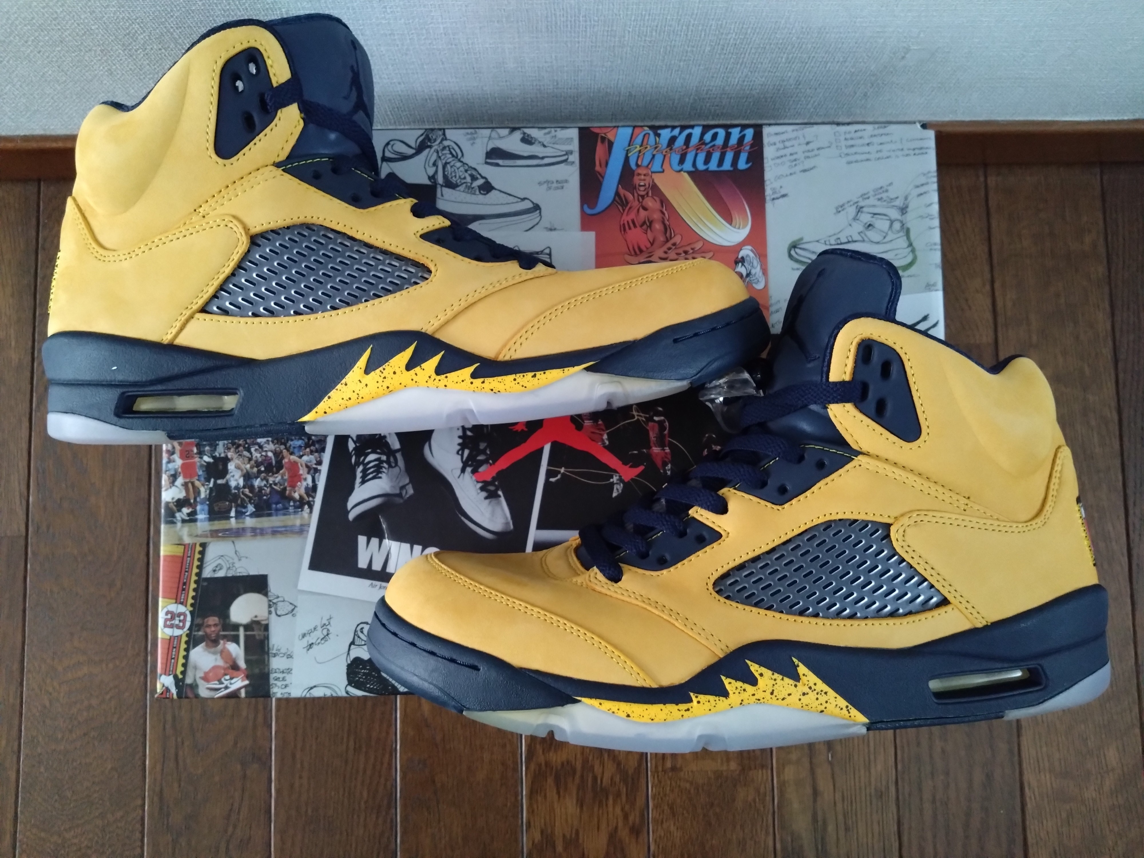 Nike Air Jordan 5 "Michigan"