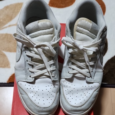 Nike Women's Dunk Low "Photon Dust"