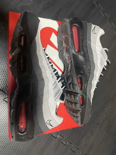 Nike Air Max 95 Koi "Pure Platinum"