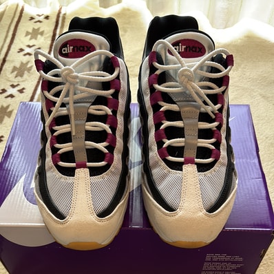 Nike SB Air Max 95 "Summit White/Cactus Flower"