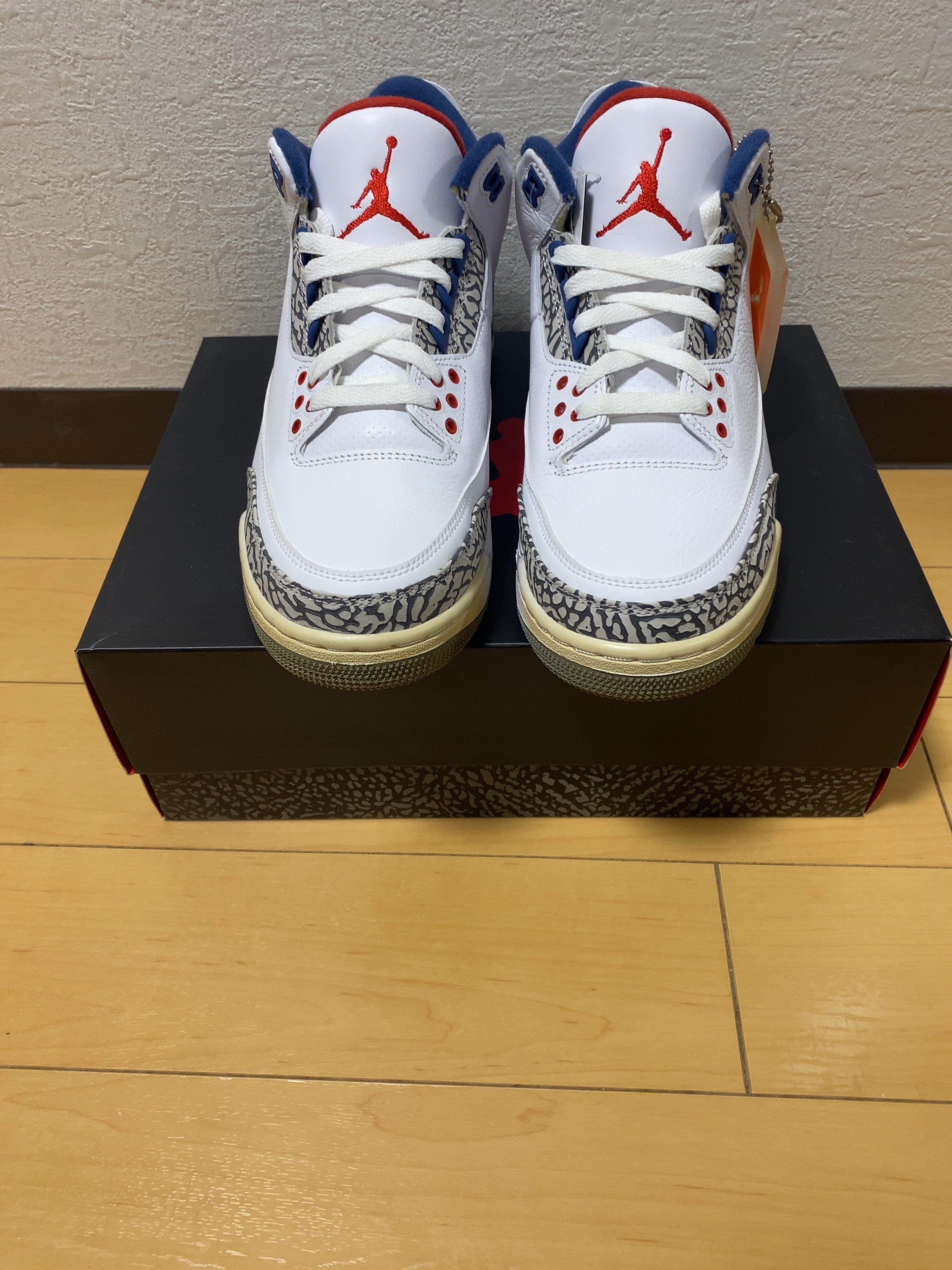 ナイキ エアジョーダン3 レトロ "トゥルー ブルー" (2016)