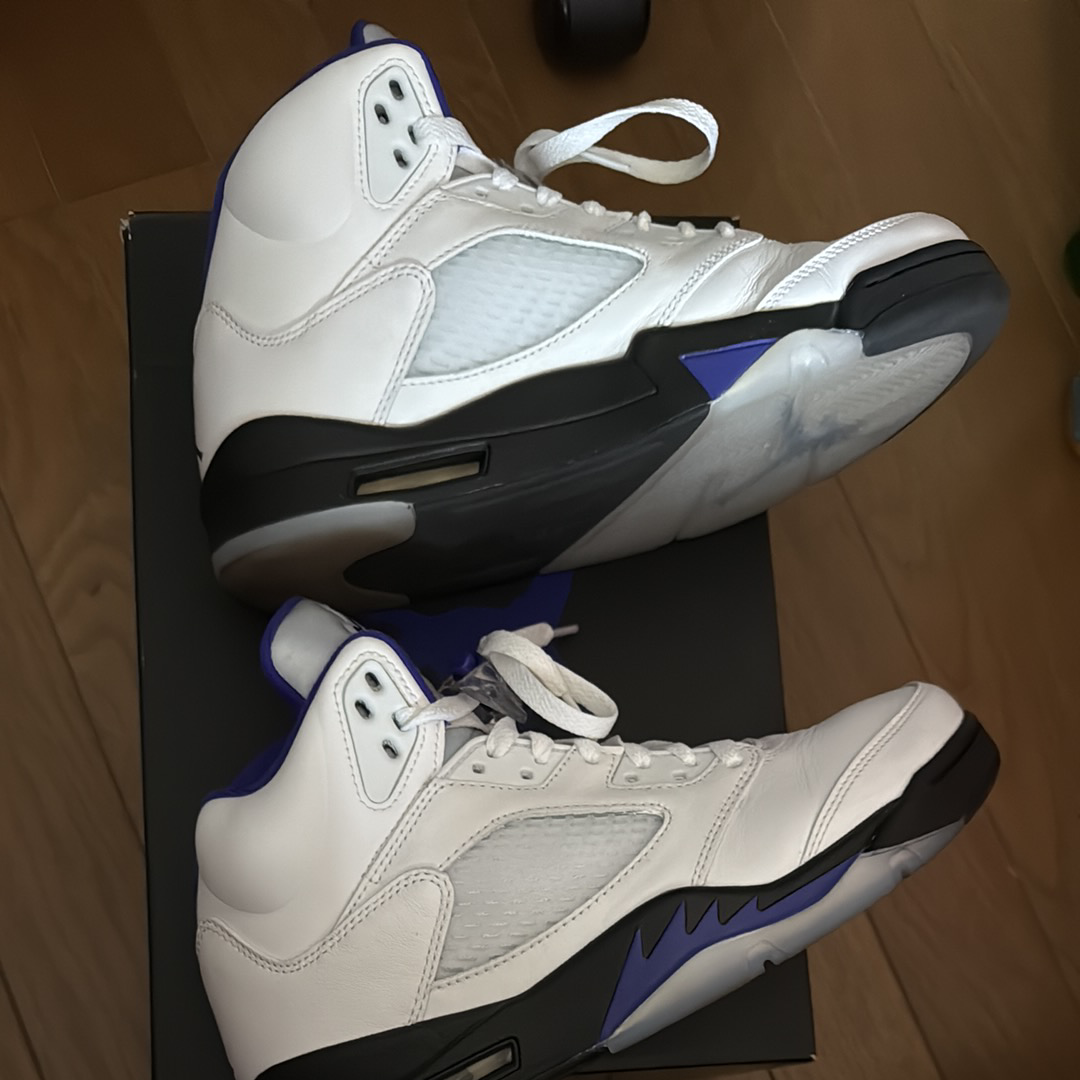 Nike Air Jordan 5 "Dark Concord"