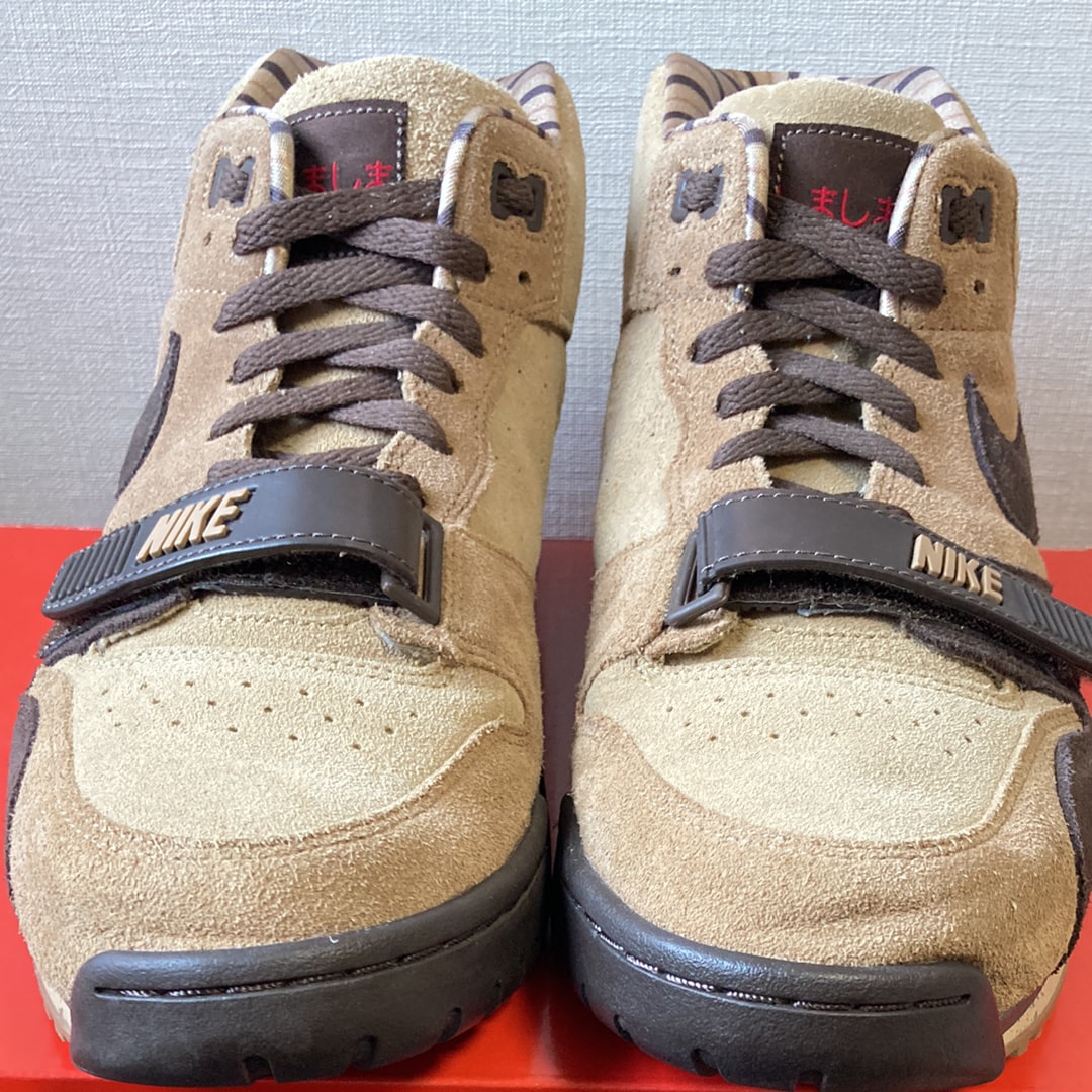 ナイキ エアトレーナー1 "しましま"