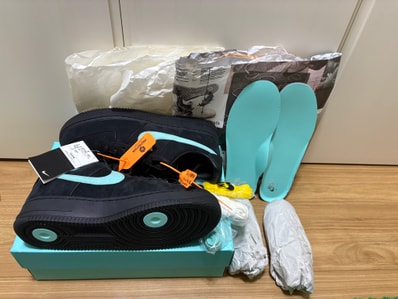 Tiffany & Co. × Nike Air Force 1 Low "1837"