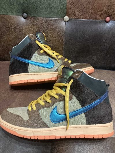 Concepts × Nike SB Dunk High "Duck"