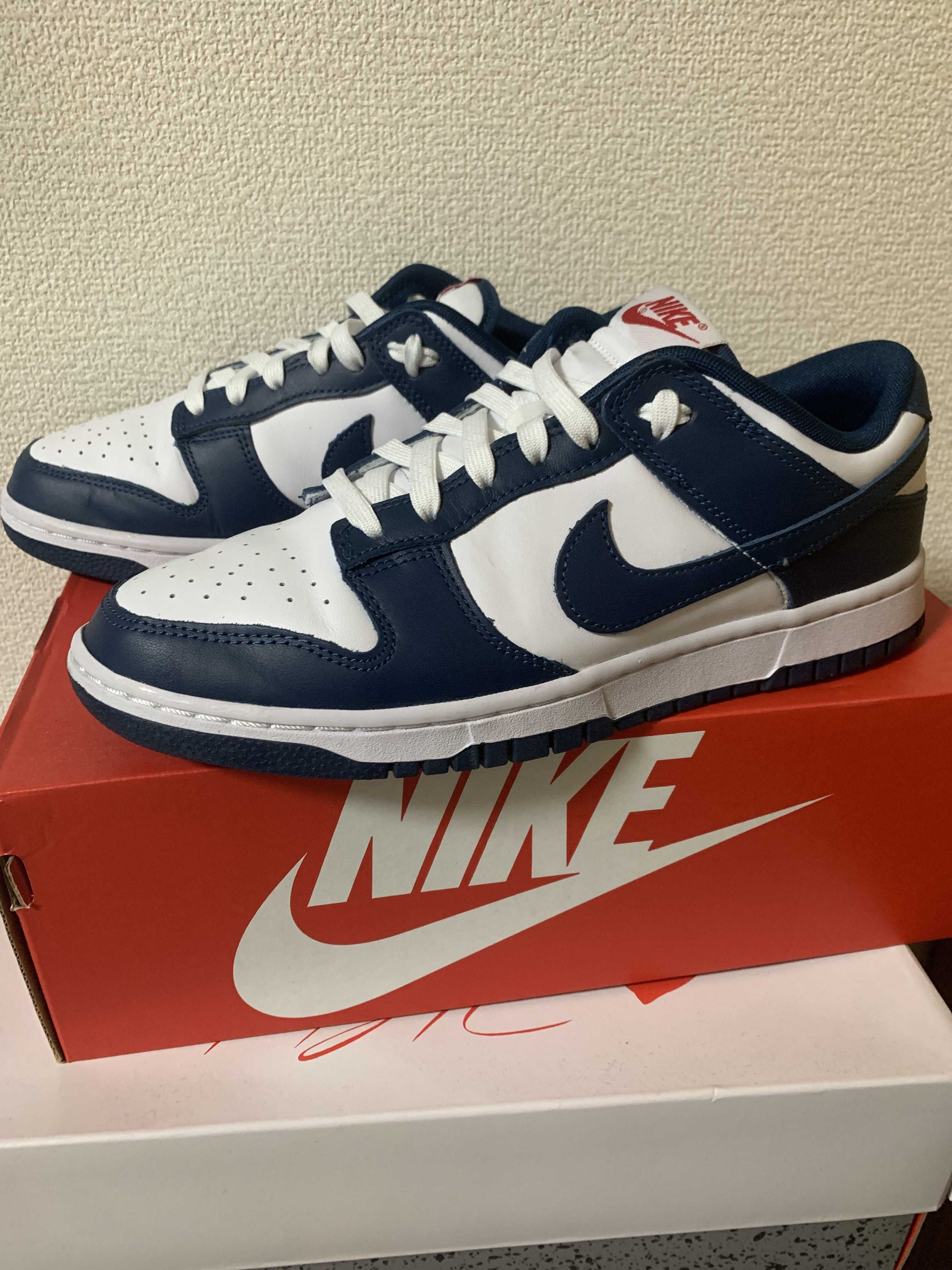 Nike Dunk Low "Valerian Blue"