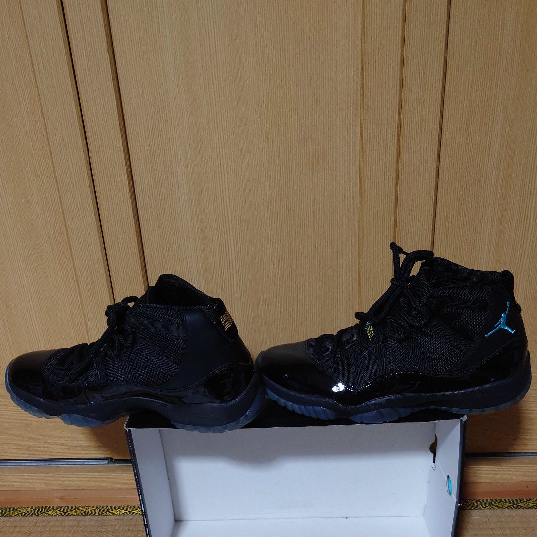 Nike Air Jordan 11 "Gamma" (2013)