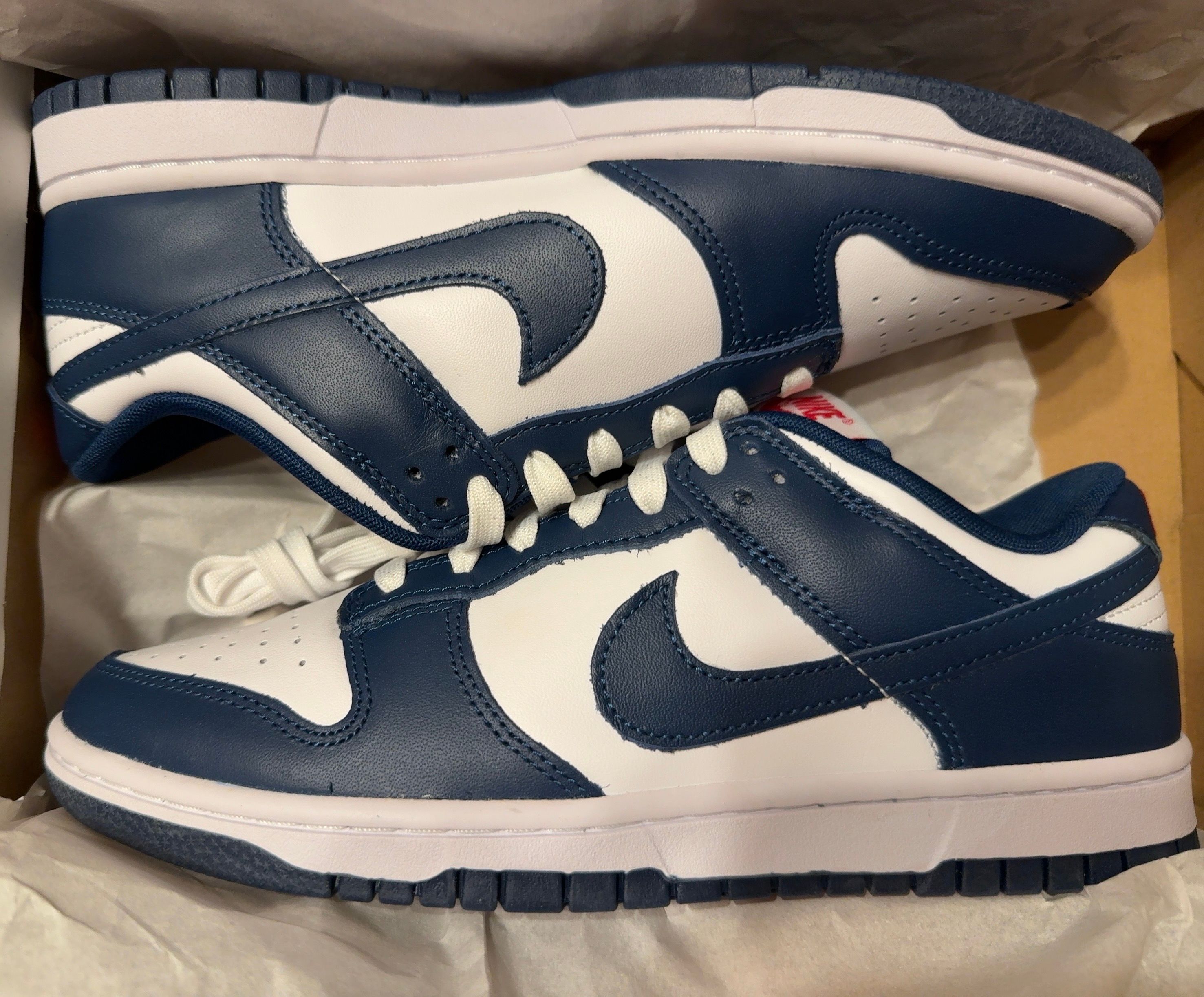 Nike Dunk Low "Valerian Blue"