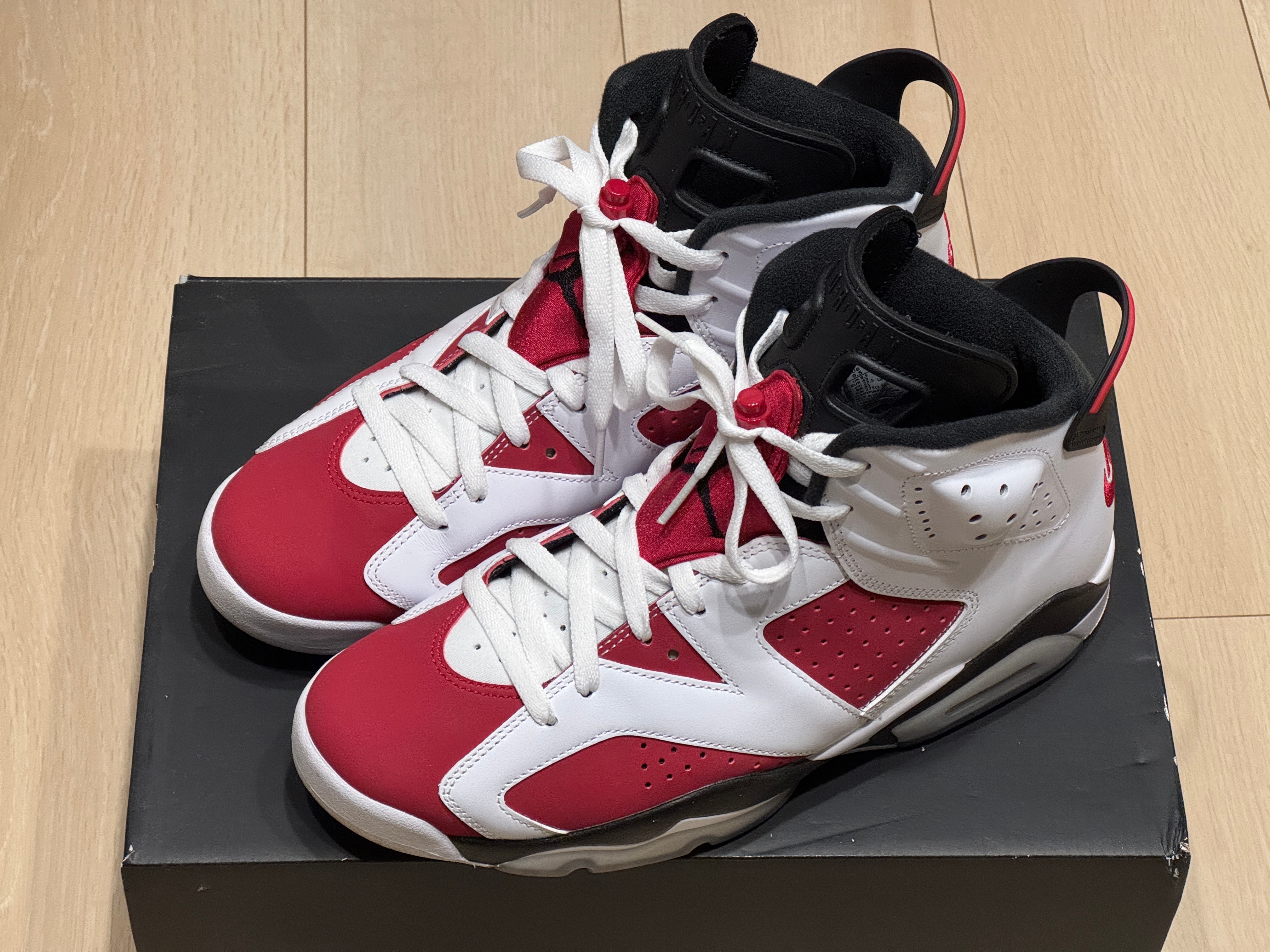 Nike Air Jordan 6 "Carmine" (2021)