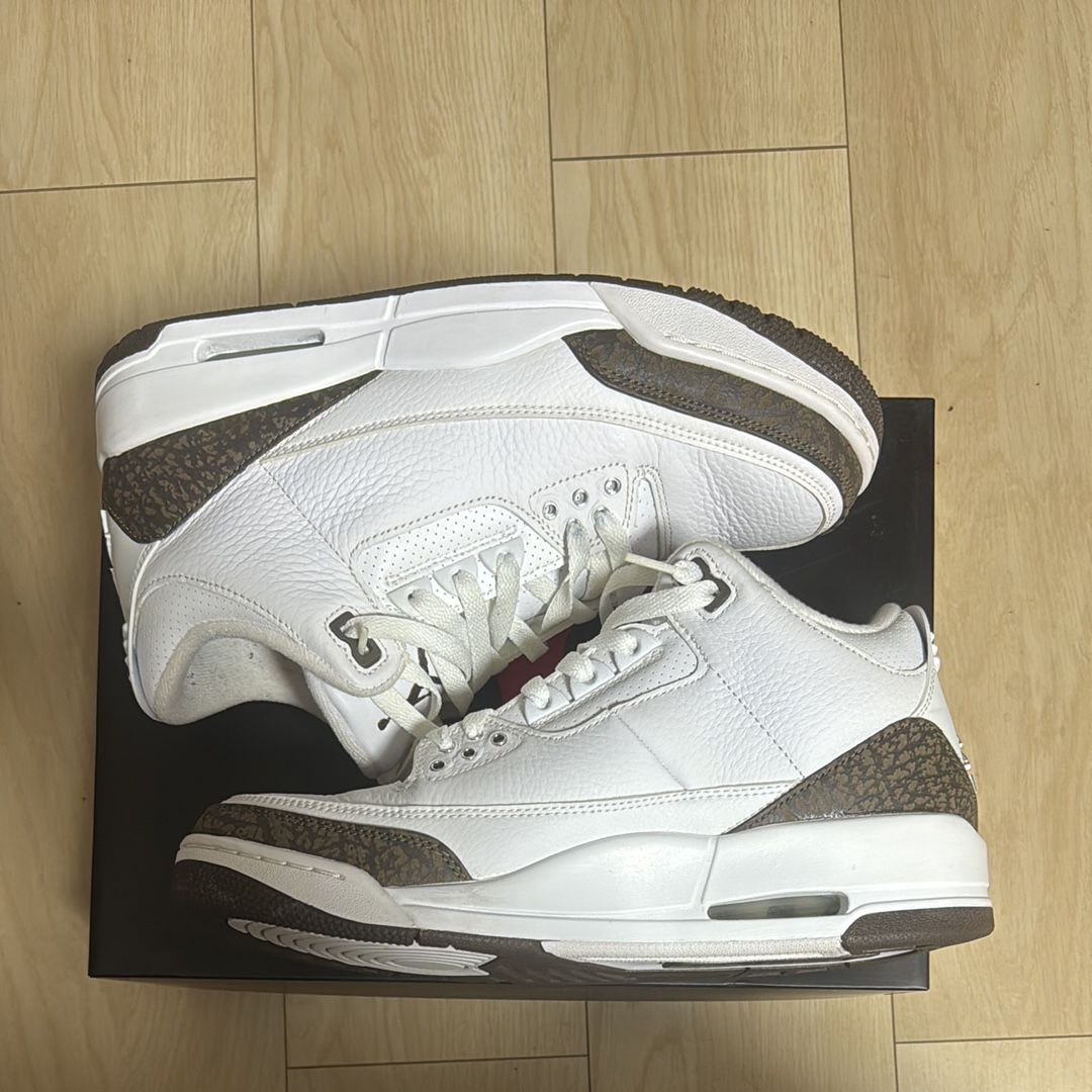 Nike Air Jordan 3 Retro "Mocha" (2018)