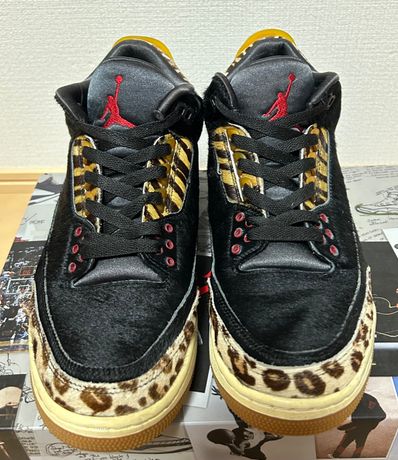 Nike Air Jordan 3 Retro SE "Animal Instinct/Safari"