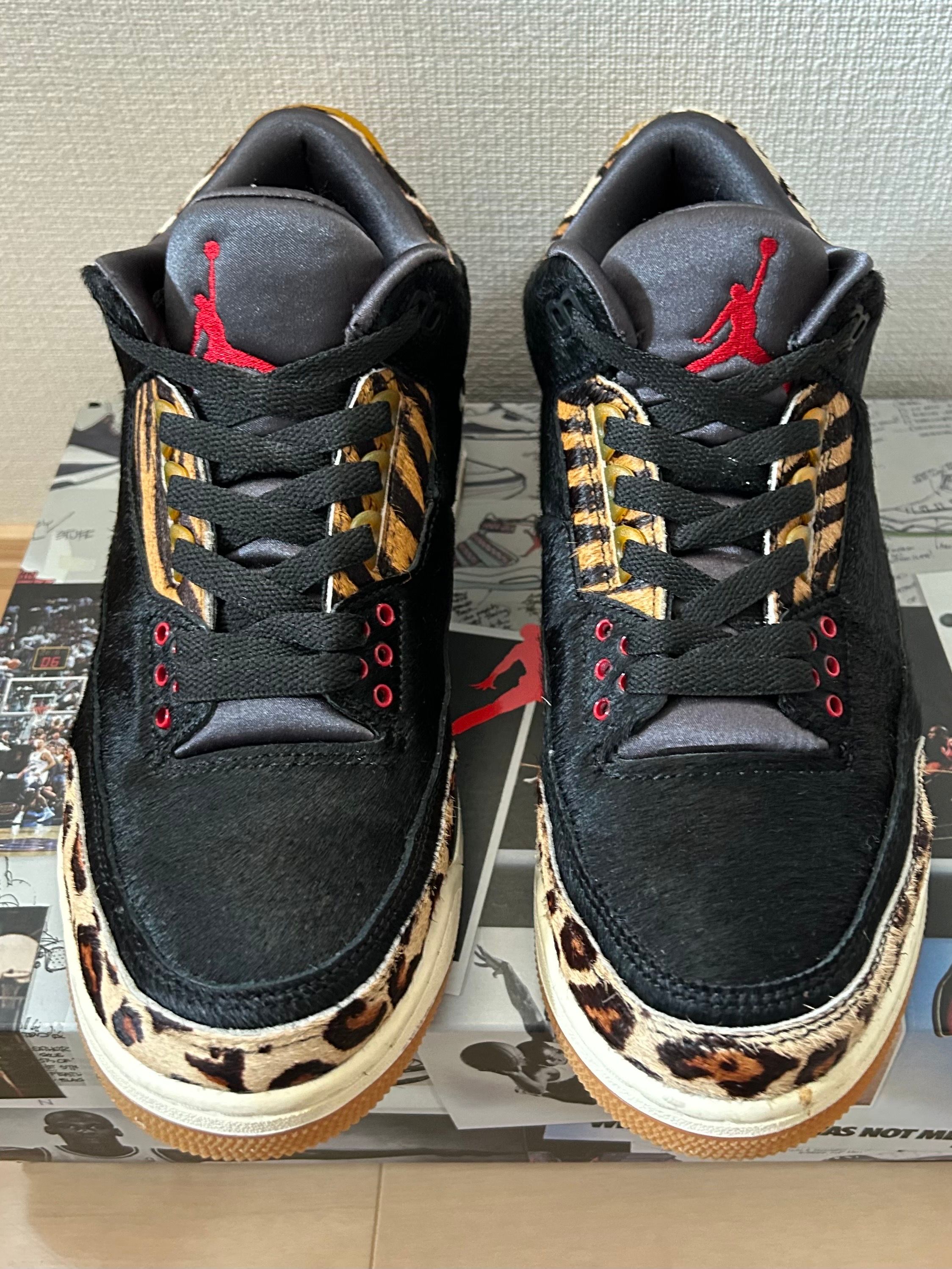 Nike Air Jordan 3 Retro SE "Animal Instinct/Safari"