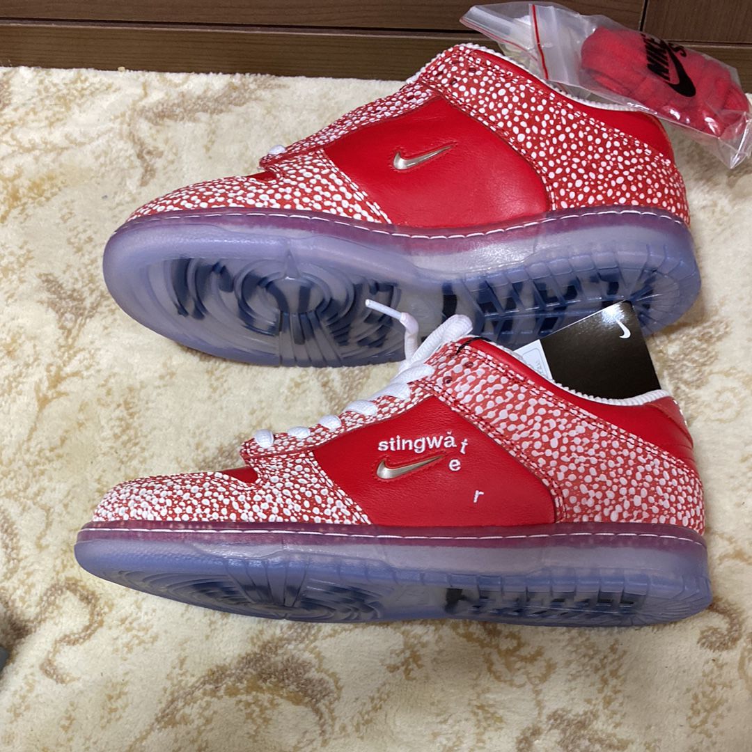 Stingwater × Nike SB Dunk Low "Magic Mushroom"