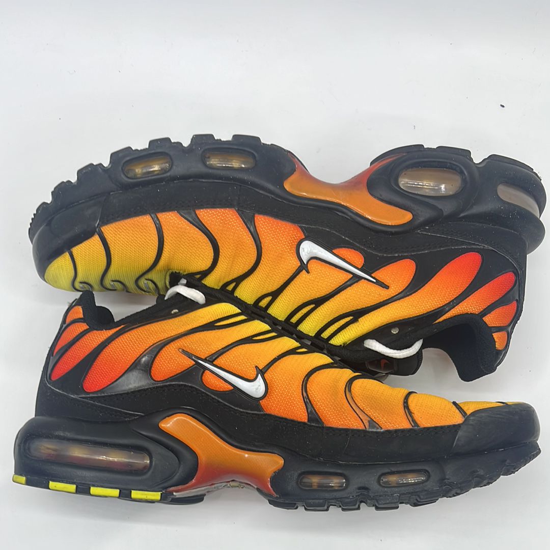 Nike Air Max Plus "Tiger"