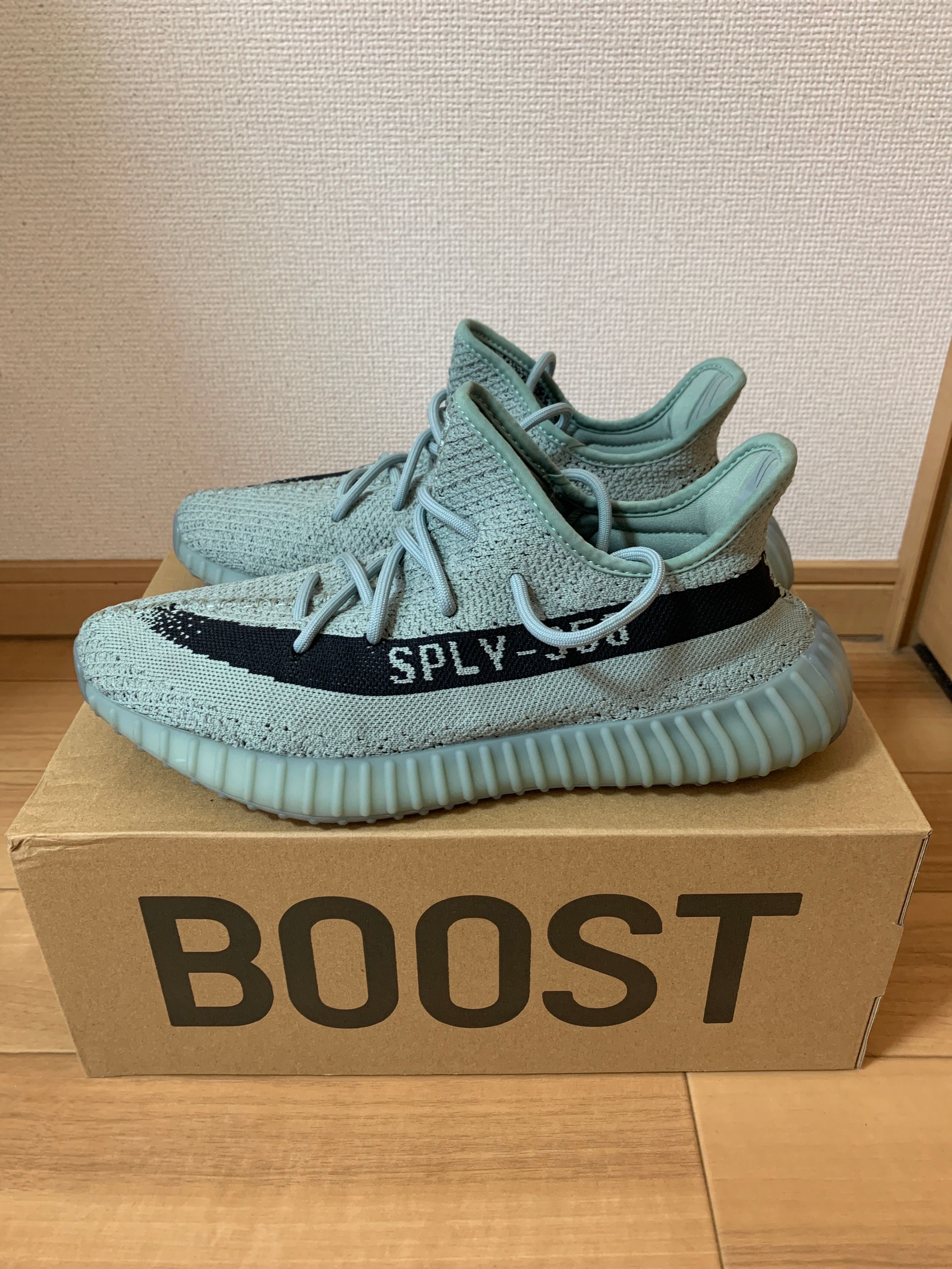 adidas YEEZY Boost 350V2 "Salt/Core Black"