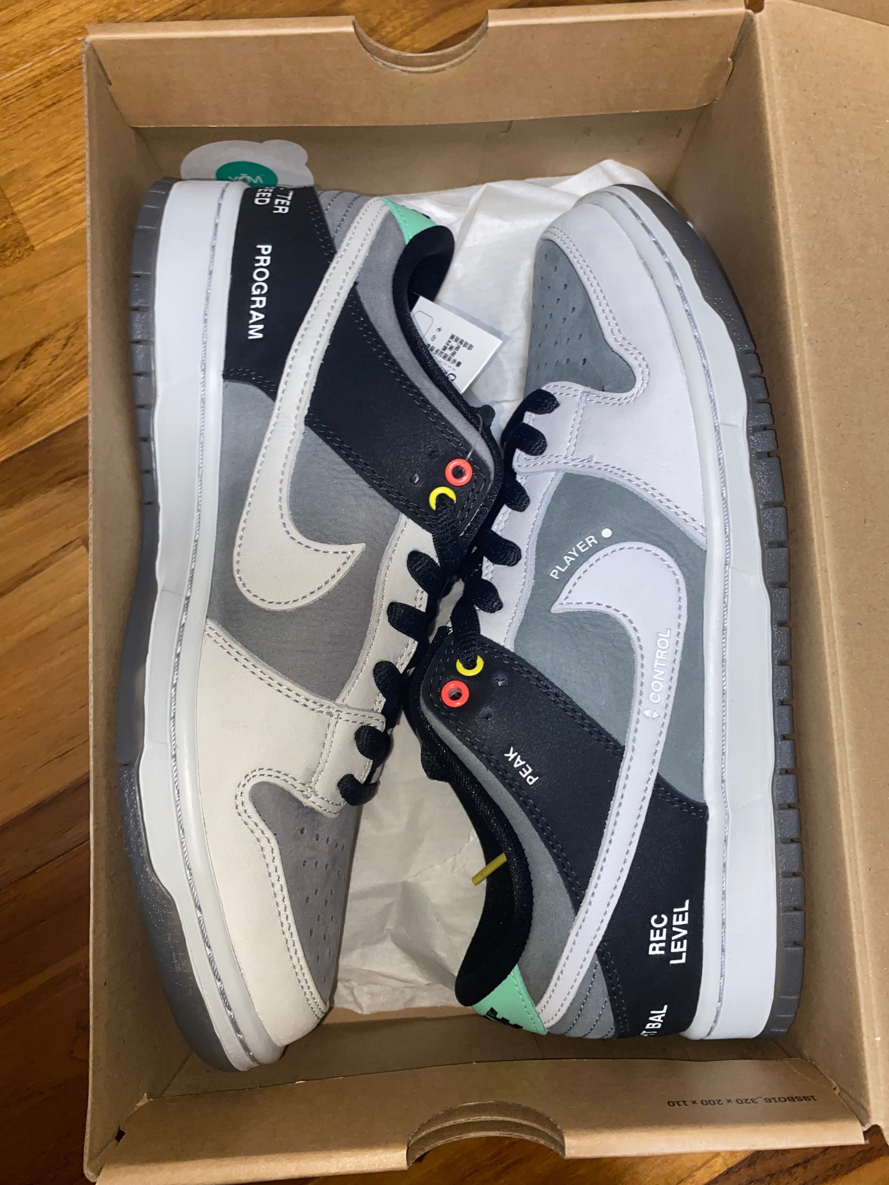 Nike SB Dunk Low Pro "VX1000 Camcorder"